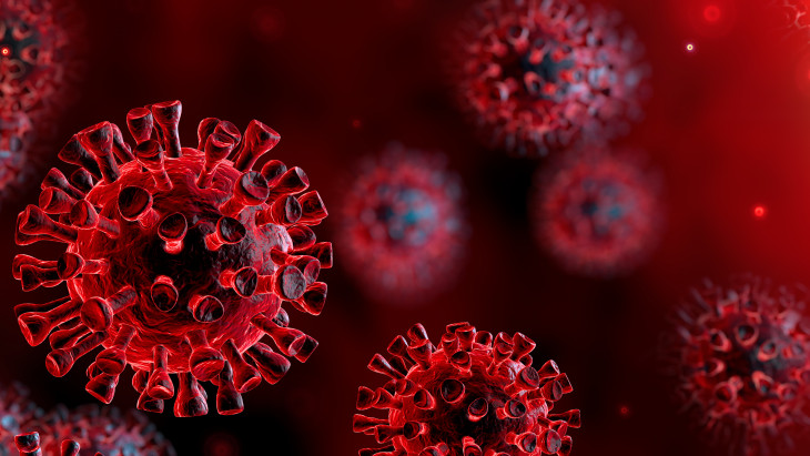 Koronavírus örökítő anyag - koronavírus helyzetjelentés